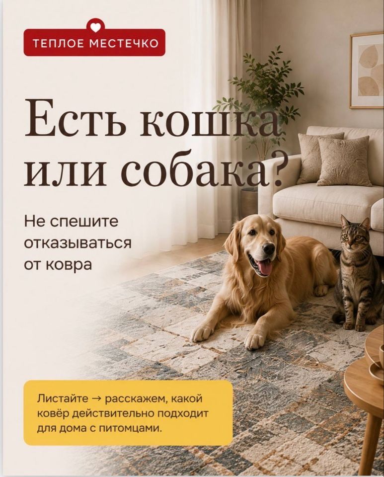 Кошка или собака — не повод отказываться от красивого ковра